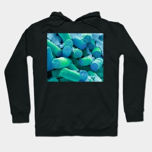 Soil diatoms, SEM, (C054/5526) Hoodie